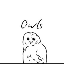Owls