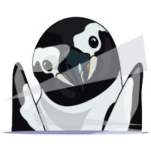 Penguin Peek-a-Boo