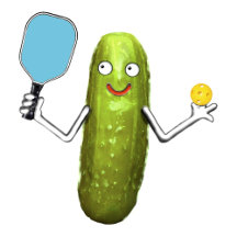 PICKLEBALL GIFTS AND GEAR