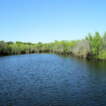 The Everglades