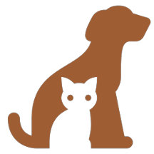 Pet Lovers (Para los consentidos)