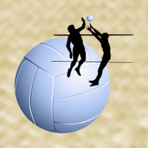 SPORTS VOLLEYBALL