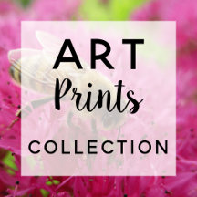 Art Prints