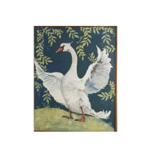 my sweet swan story book, GREAT FOR A MAGICAL KIDS