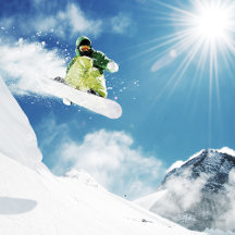 Heavy Duty Tough Hawaiian iPhone Cases