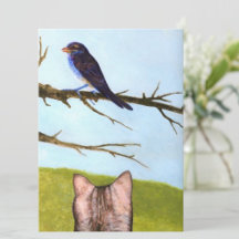 Tabby Cats talk to Birds