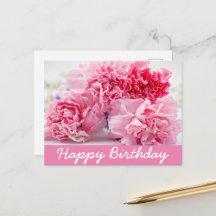 Carnation Flowers Collection