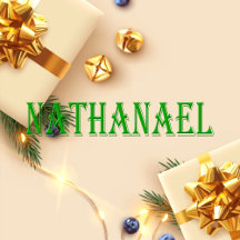 Nathanael Name T-Shirt