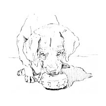 Labrador Art Collection