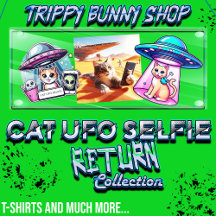 Cat UFO Selfie: Return