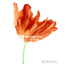 Orange fringed tulip