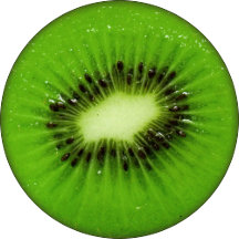 Kiwi Fruit Fresh Slice