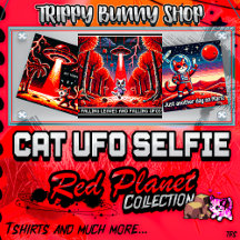 Cat UFO Selfie: Red Planet