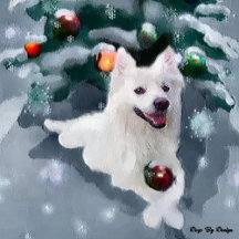 American Eskimo Dog Christmas 2