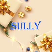Sully_Name T-Shirt