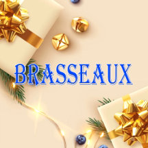 Brasseaux_Name T-Shirt