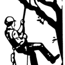 Tree Service Business Cards