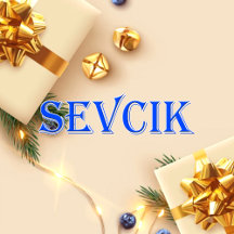 Sevcik_Name T-Shirt