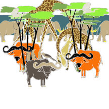 African Wild Animals