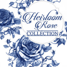 Heirloom Rose Collection