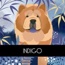 INDIGO smooth chow