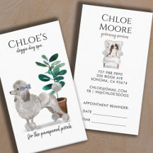 Pet Care, Sitter, Groomer