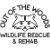 Out of the Woods Wildlife Rescue & Rehab