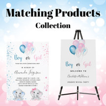 Gender reveal party - blue and pink