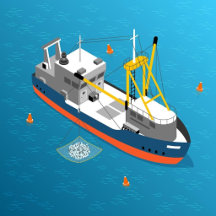 Ships Collection