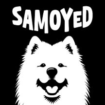 Samoyed Dog