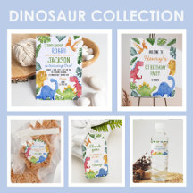 Cute Dinosaur Boy Birthday