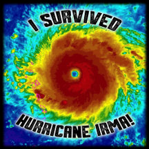 HURRICANE IRMA