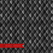 Feather Dragon Scale Armor Black