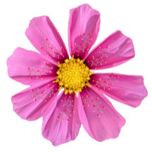 Science Garden Party