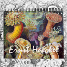 Office and School Supplies with Ernst Haeckel