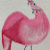 Shara's Joyous Flamingo MF-S Fundraiser