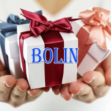 Bolin_Name T-Shirt