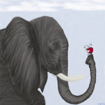 Adorable Elephant and Ladybug Collection