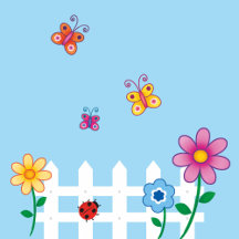 Schmetterlinge - Käfer & Co