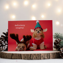 Definitely Naughty Pet Photo Cute Christmas