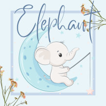 Elephant Themed