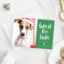 Pet Holiday Cards