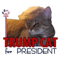 Trump Cat for President!