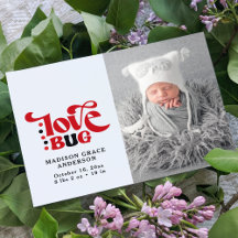 Baby Love Bug Cute Modern Photo Script