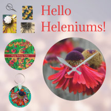Helenium Decor and Party Supplies