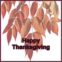 Modern Vintage Thanksgiving Cards & Invitations 