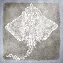 Vintage Sea Life Coastal Decor in Pewter and Blue