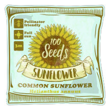 Vegetable garden seeds growing plants