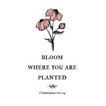 Bloom Where You Are Planted