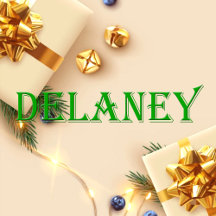 Delaney Name T-Shirt